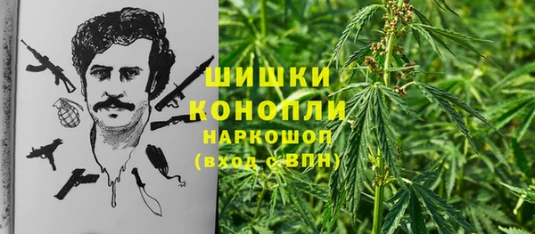 ПСИЛОЦИБИНОВЫЕ ГРИБЫ Алексин