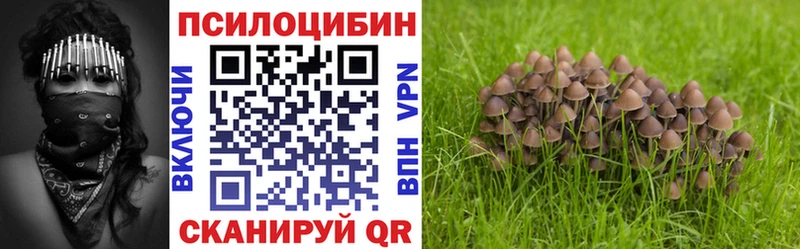 Псилоцибиновые грибы ЛСД  Белая Холуница 