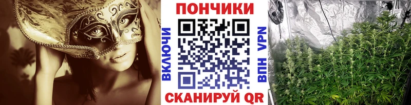 Каннабис планчик  гидра вход  Белая Холуница 